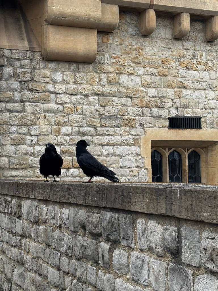 Two ravens sit on a stone wall outside the Tower of London
